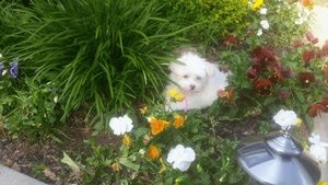 Meet your Posher, Rhonda